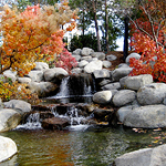 landscaping services in westchester by omega landscaping