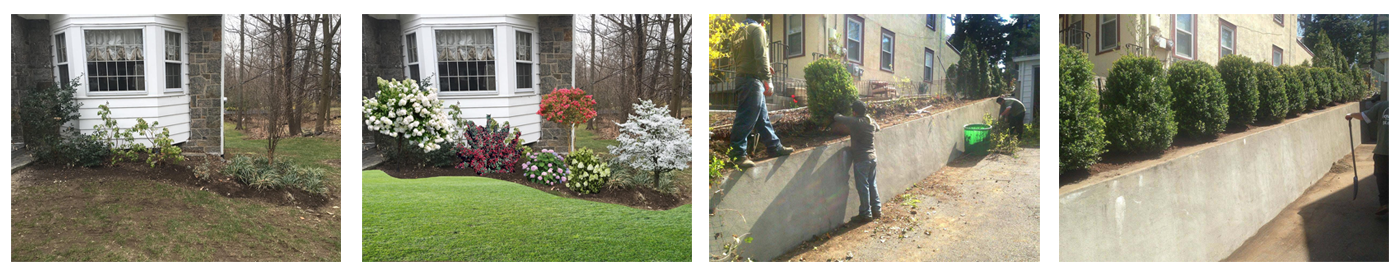 Landscaping in Scarsdale