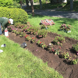 Gardening services in Westchester NY